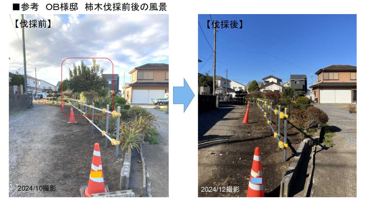 【弊社担当工事域と柿の木伐採前後】