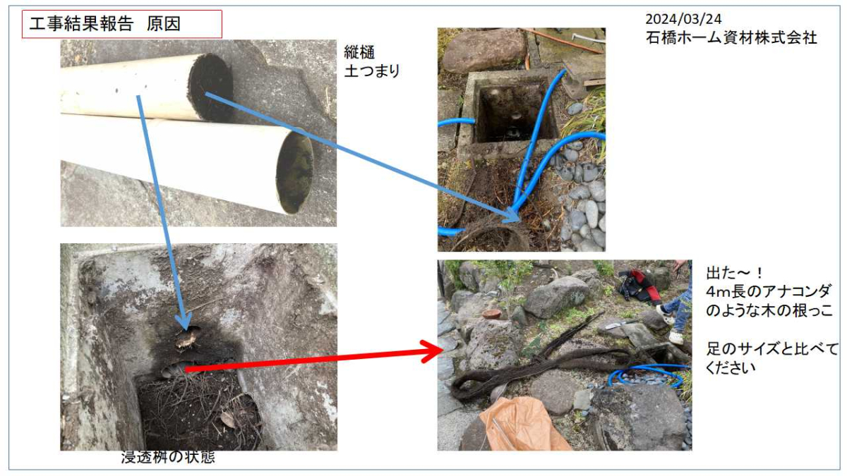 【原因は木の根っこ（４ｍアナコンダ？）】